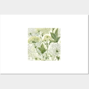 Watercolor Wildflower Queen Anne's Lace Pattern 1 Posters and Art